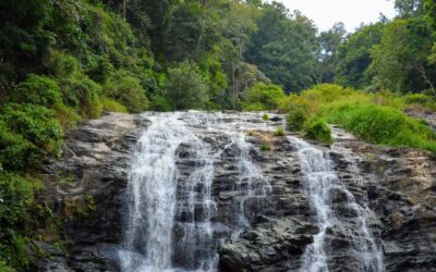  Abbey Falls: Must Visit place in Coorg  