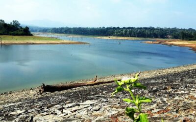 Chiklihole Dam  in Coorg