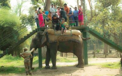 Nisargadamma Eco-Park in Coorg  